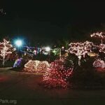 Holiday lights in the park