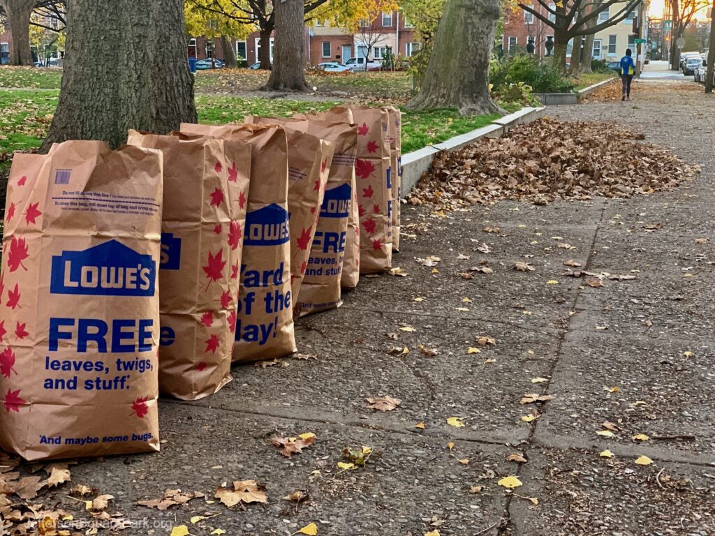 Fall Cleanup 2020